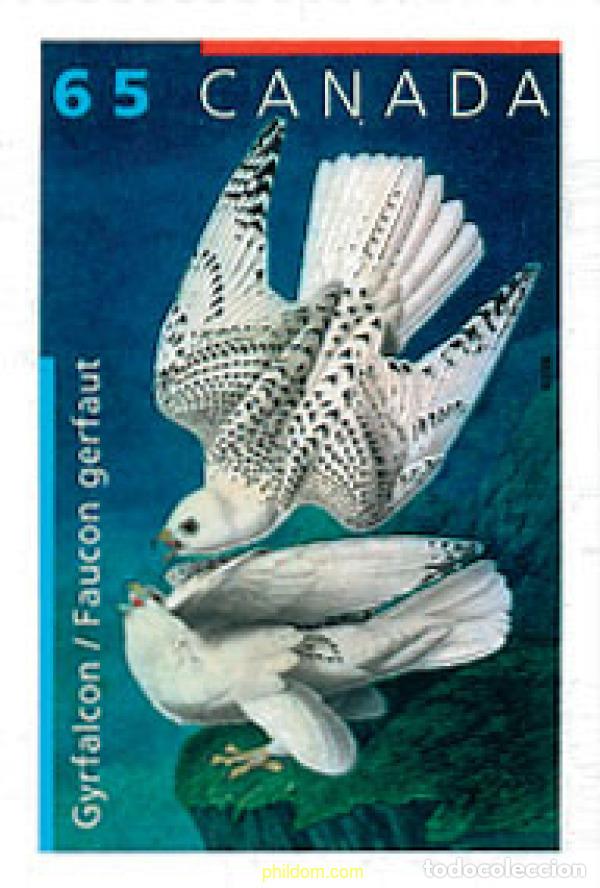 Sellos: 117243 MNH CANADA 2003 PAJARO