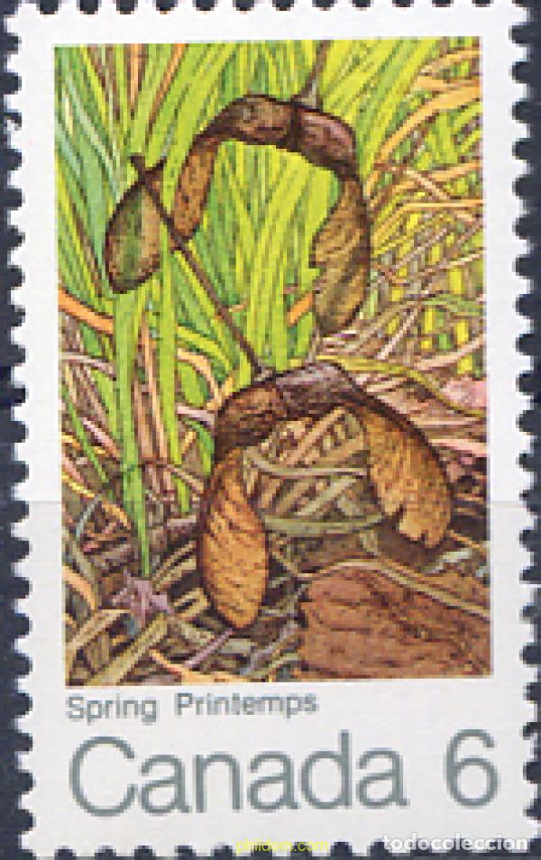 Stamps: 205506 MNH CANADA 1971 EL ARCE EN LAS DIFERENTES EPOCAS DEL A&Ntilde;O