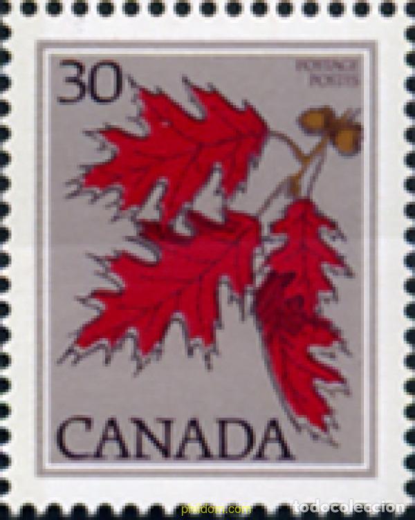 Sellos: 130079 MNH CANADA 1978 ARBOL - Foto 1