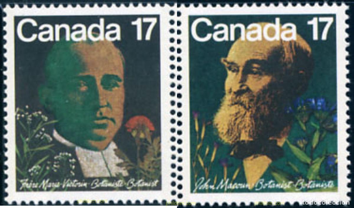 Francobolli: 197205 MNH CANADA 1981 BOTANICOS CANADIENSES