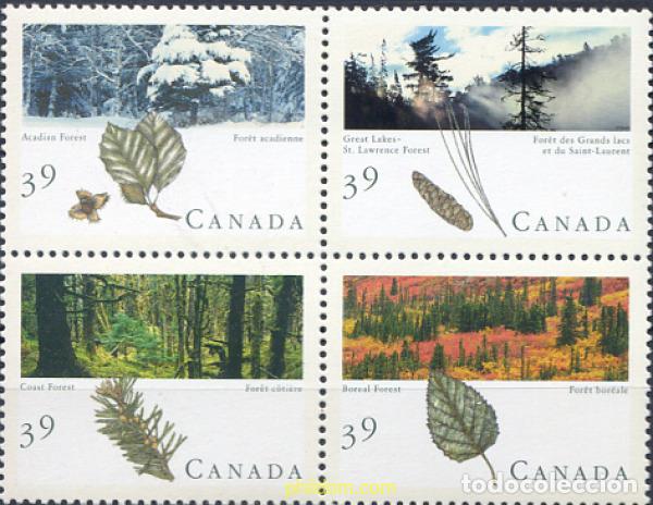 Sellos: 299519 MNH CANADA 1990 BOSQUES CANADIENSES - Foto 1