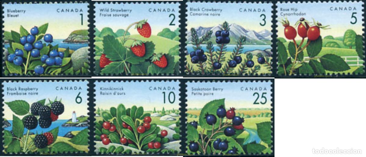 Sellos: 130505 MNH CANADA 1992 BAYAS SALVAJES