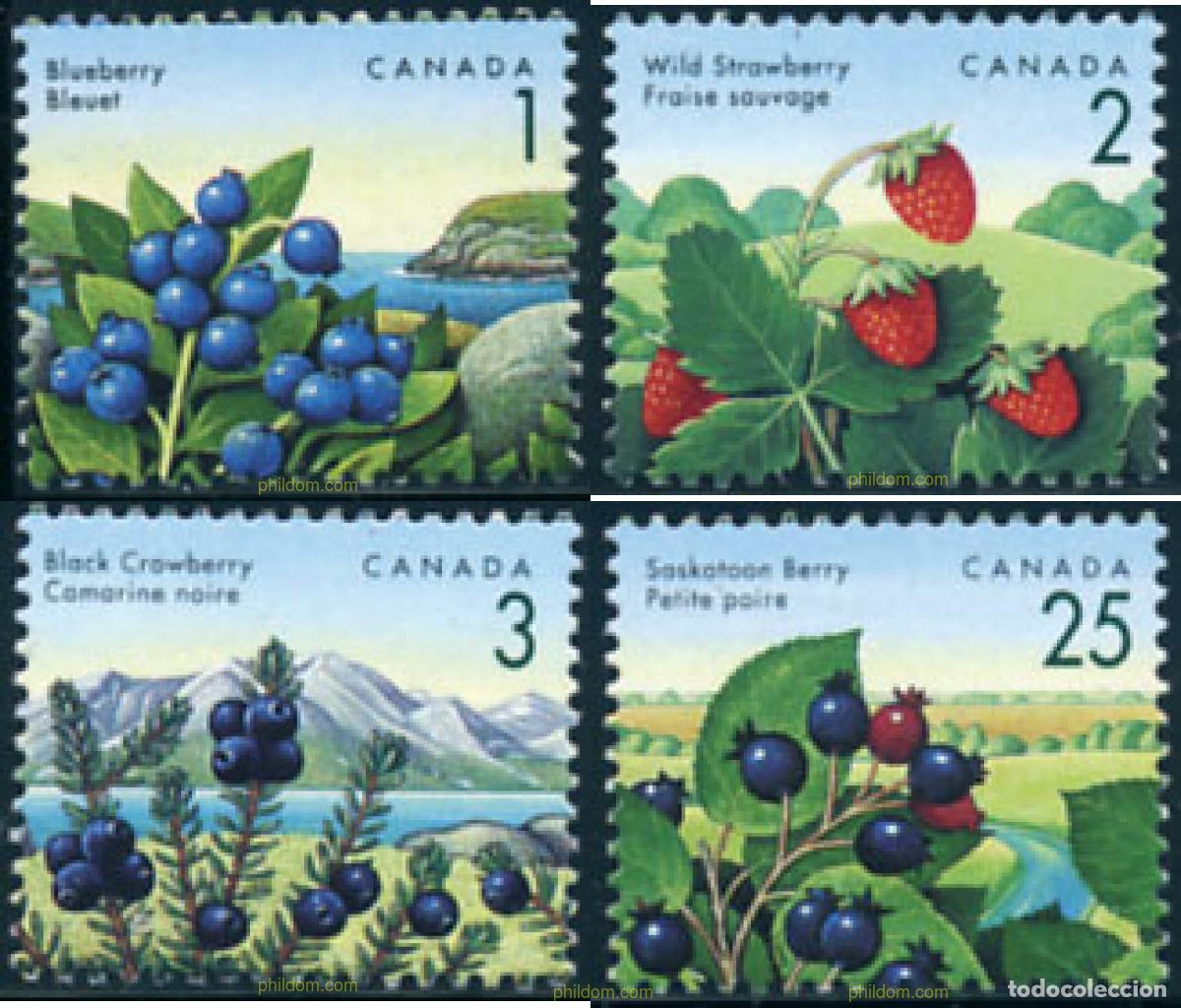 Sellos: 206821 MNH CANADA 1992 BAYAS SALVAJES