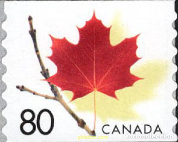 Sellos: 686902 MNH CANADA 2003 HOJA DE ARCE - Foto 1