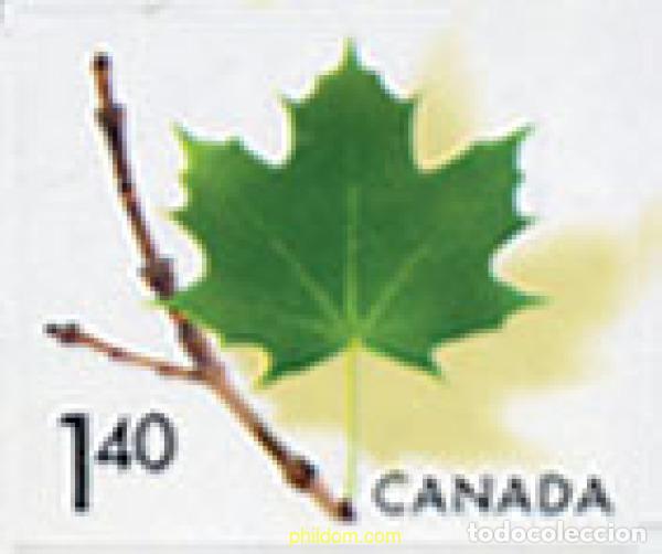 Sellos: 149326 MNH CANADA 2003 HOJA DE ARCE