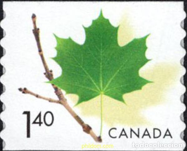 Sellos: 686901 MNH CANADA 2003 HOJA DE ARCE