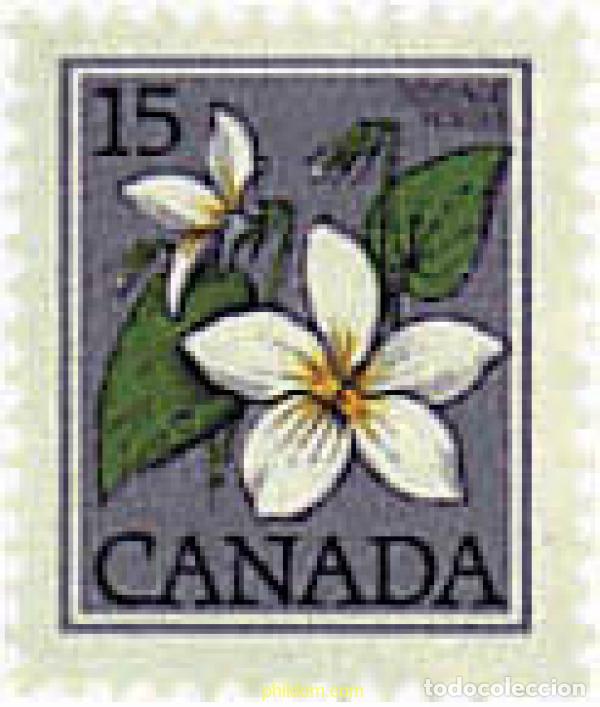 Sellos: 99830 MNH CANADA 1979 FLOR SILVESTRE