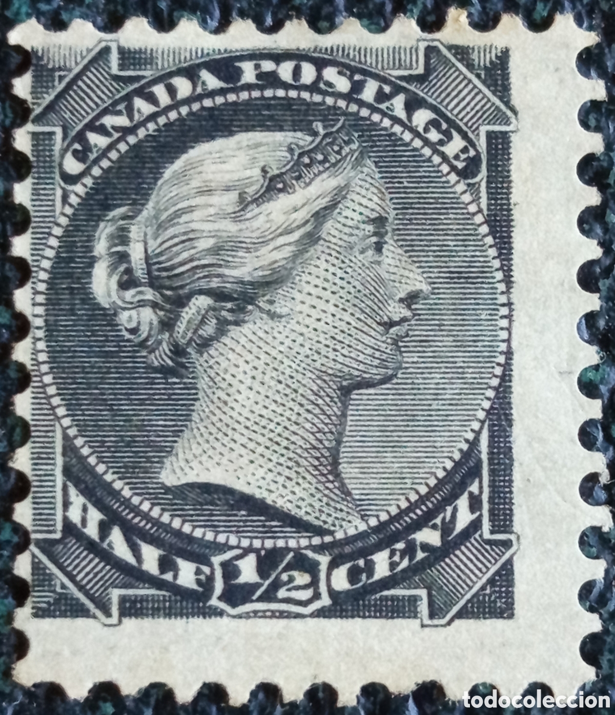 Sellos: Sello Canad&aacute; 1882-1897 - 1/2 Cent Negro Reina Victoria &rdquo;Small Queens&rdquo; Usado/MH Scott #34