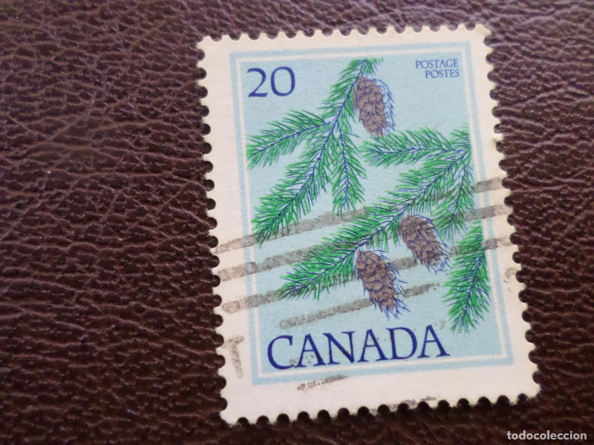 Sellos: .canada, 1977, pino de douglas, Yvert 638