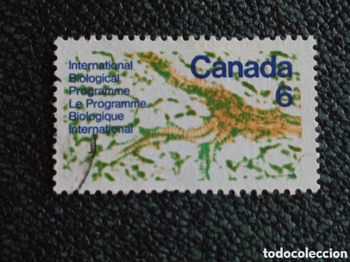 Sellos: Sello Canad&aacute; 1971 Programa Biol&oacute;gico Internacional MNH Edifil 450 / Scott 533