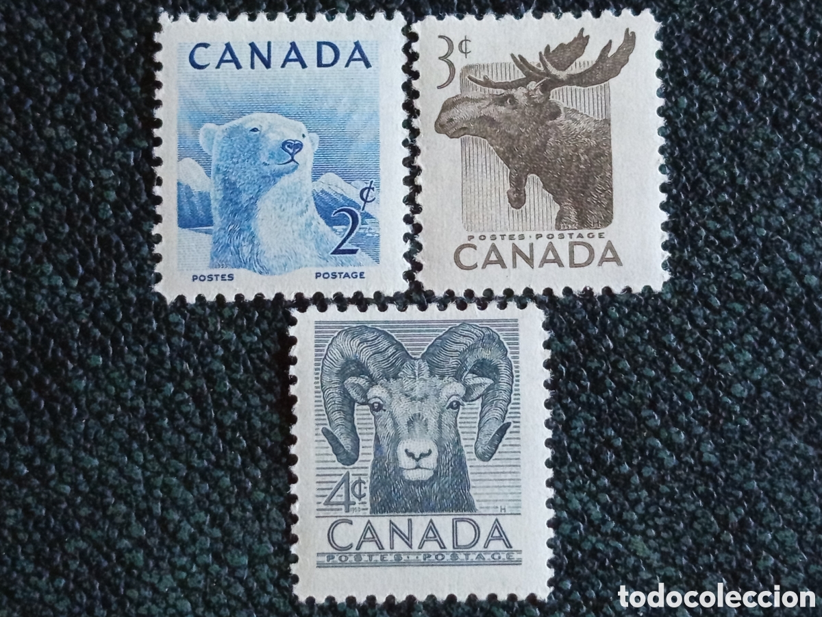 Sellos: Serie 3 Sellos Canad&aacute; 1953 Fauna Nacional Oso Alce Nuevos MH (Scott 322-324)