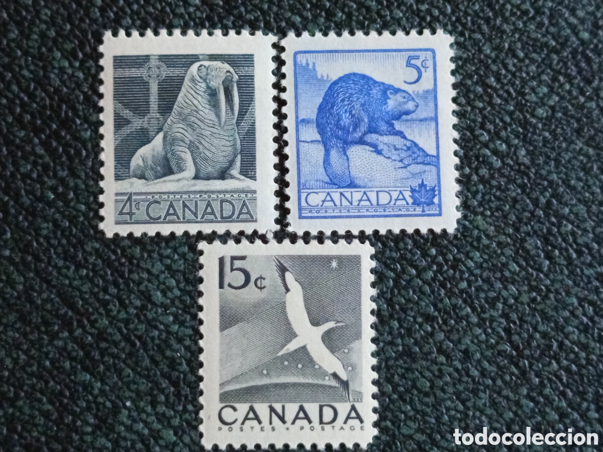 Sellos: Lote 3 Sellos Canad&aacute; 1954-55 Fauna Morsa Castor Aves Nuevos MH (Scott 334/351)