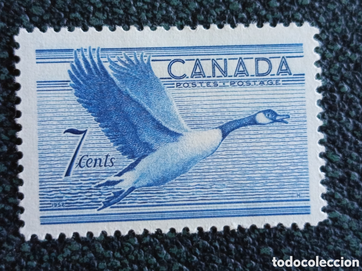 Sellos: Sello Canada 1952 Canada Goose Oca 7c Scott 315 Michel 307 Nuevo MH