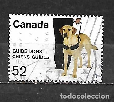 Sellos: 2008: Perros gu&iacute;a - Golden retriever (usado)