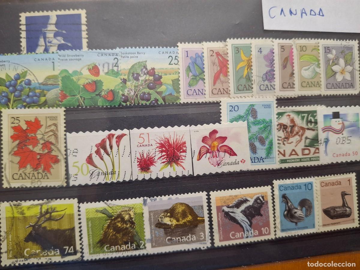 Stamps: HB1139 SELLOS CANADA ideal para tematicas (LEER DESCRIPCION)