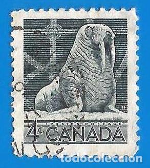 Selos: Canada. 1954. Scott # 335. Fauna. Morsa