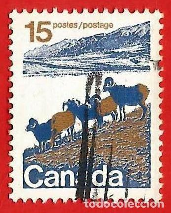 Sellos: Canada. 1972. Scott # 595. Ovejas de monta&ntilde;a