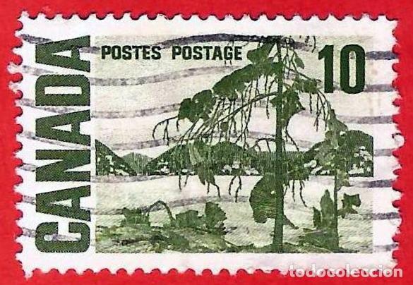 Sellos: Canada. 1967. Scott # 462. The Jack Pine. Dibujo de Tom Thomson