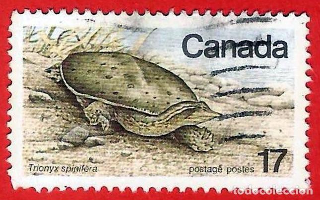 Sellos: Canada. 1979. Scott # 813. Fauna en Peligro de extincion. Tortuga de caparaz&oacute;n blando