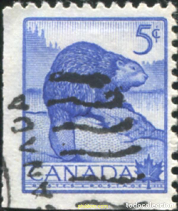 Sellos: 797272 USED CANADA 1953 SEMANA DE LA PRESERVACION DE LA FAUNA SALVAJE