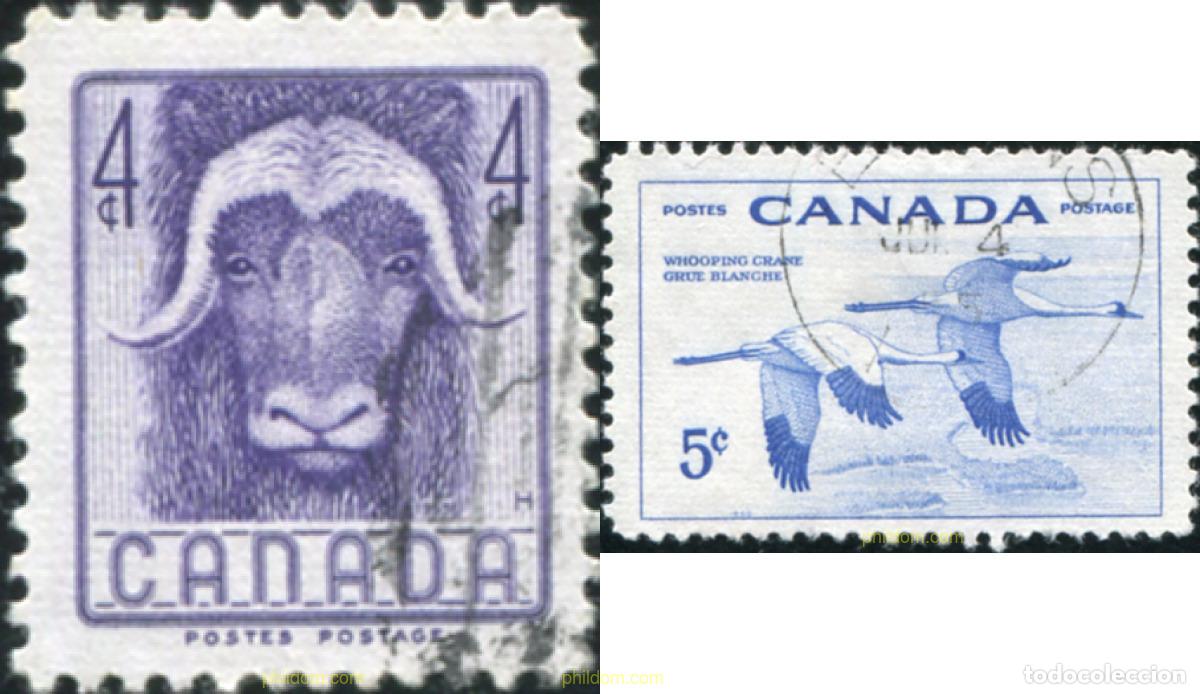 Sellos: 763023 USED CANADA 1955 SEMANA DE LA PRESERVACION DE LA FAUNA SALVAJE