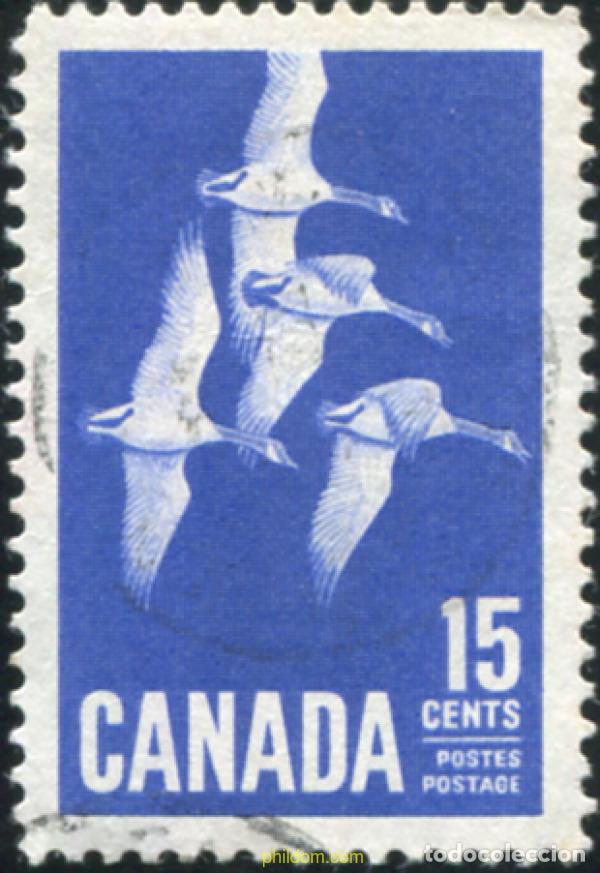 Sellos: 797487 USED CANADA 1963 GANSOS CANADIENSES