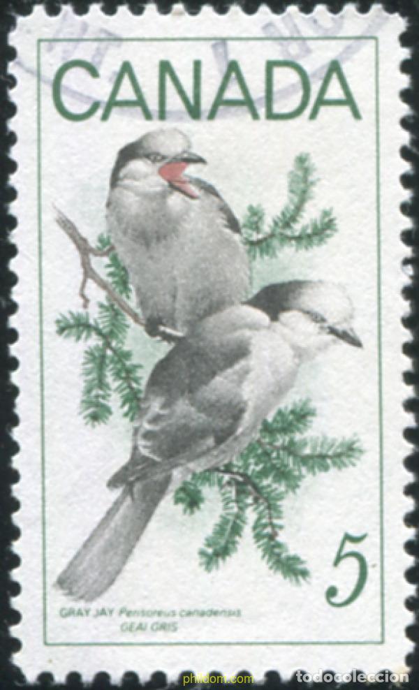 Sellos: 797811 USED CANADA 1968 PROTECCION DE LA NATURALEZA