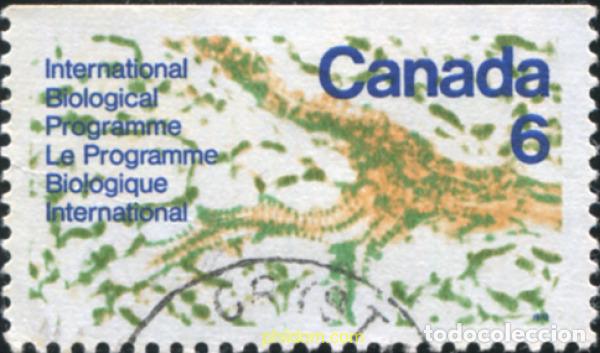 Sellos: 797866 USED CANADA 1970 PROGRAMA BIOLOGICO INTERNACIONAL