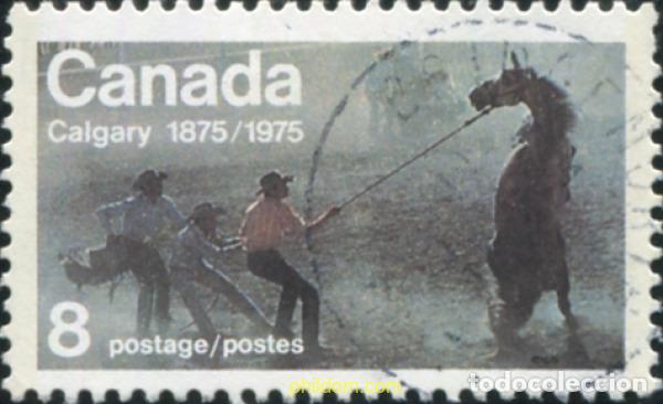 Sellos: 798156 USED CANADA 1975 CENTENARIO DE LA CIUDAD DE CALGARY