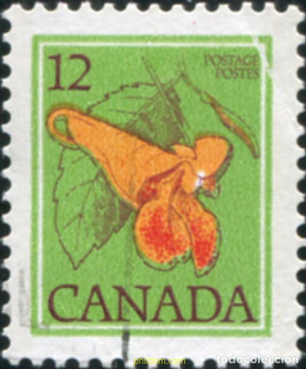 Sellos: 798255 USED CANADA 1978 FLOR - Foto 1