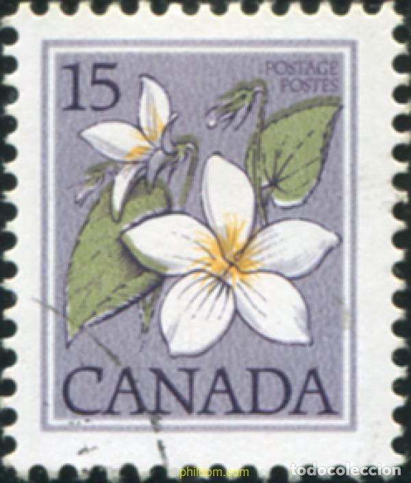 Sellos: 798256 USED CANADA 1979 FLOR SILVESTRE