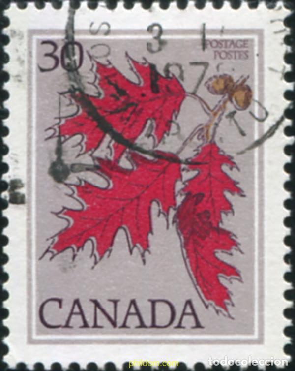 Sellos: 798266 USED CANADA 1978 ARBOL