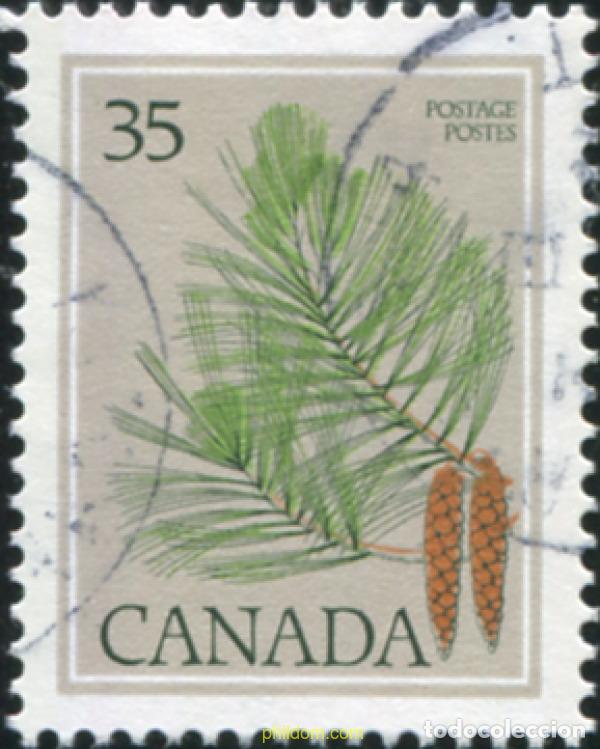 Sellos: 798265 USED CANADA 1979 ARBOL