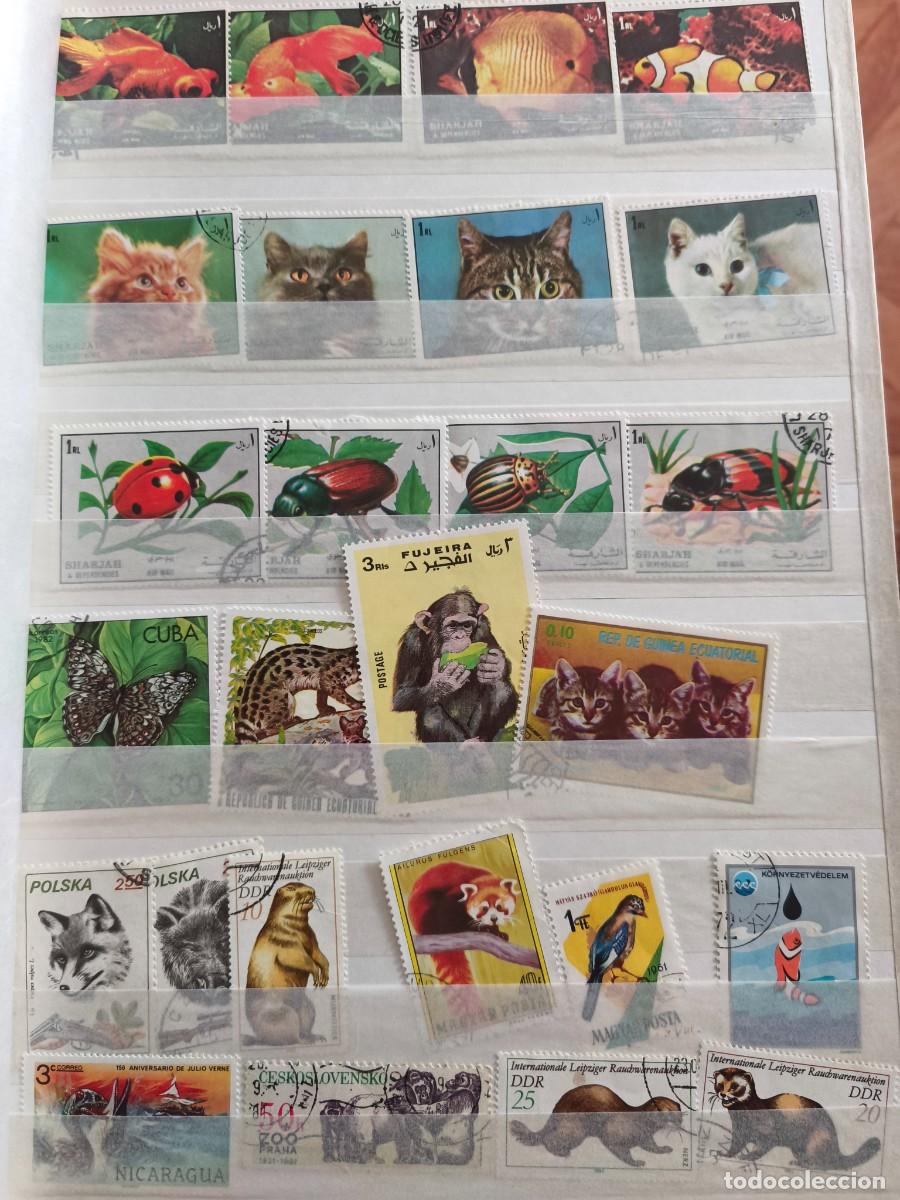 Sellos: Libro de sellos con lote de sellos - Foto 4
