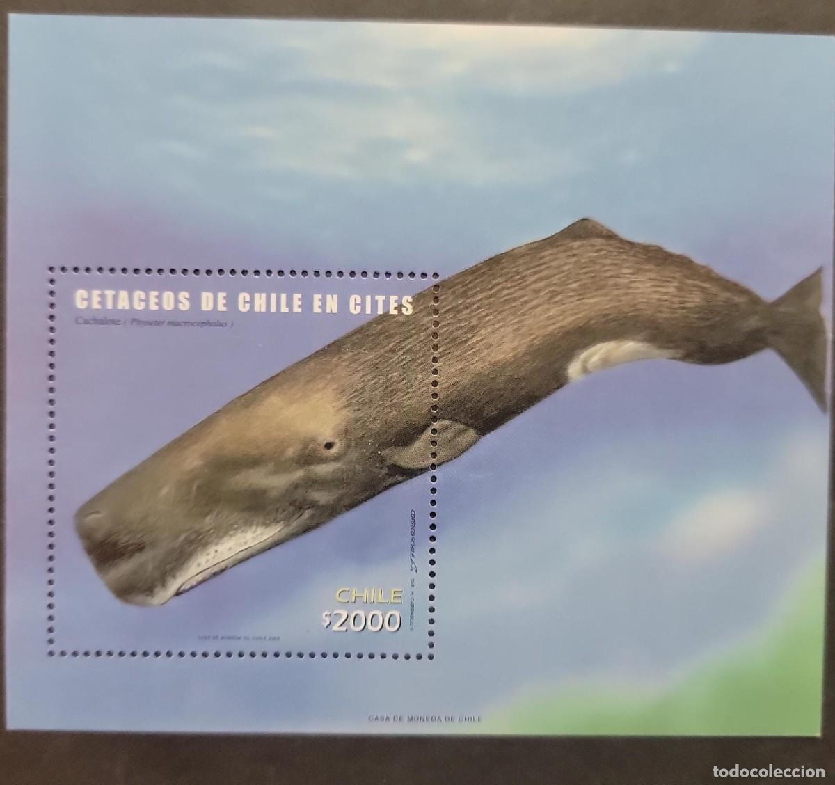 Sellos: O) 2002 CHILE, PROTECTED WHALES, PHYSETER MACROCEPHALUS, SCT 1415, SOUVENIR MNH
