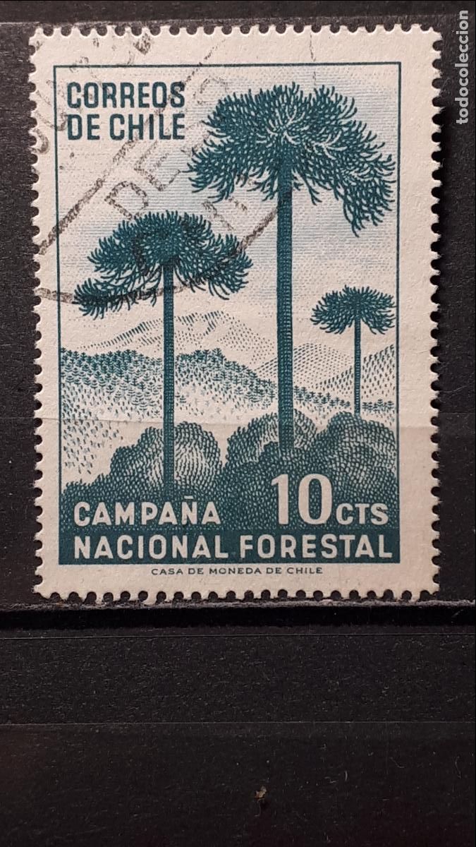 Sellos: CHILE. A&Ntilde;O 1967. &deg; YVERT A&eacute;reo 319 - Foto 1