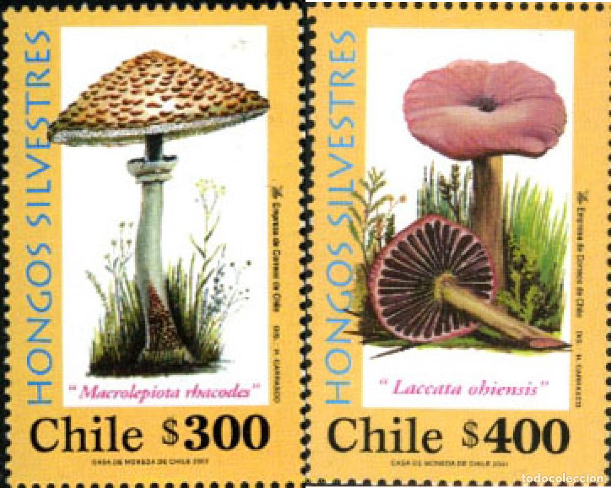 Sellos: 184718 MNH CHILE 2001 SETAS - Foto 1