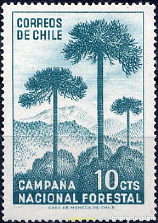 Sellos: 363041 MNH CHILE 1967 - Foto 1