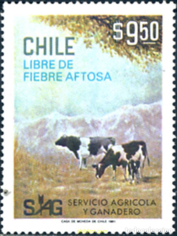 Sellos: 29895 MNH CHILE 1981 CHILE LIBRE DE FIEBRE AFTOSA.