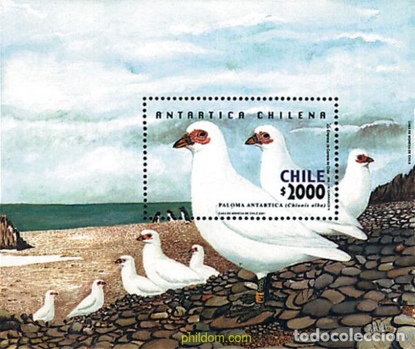 Sellos: 80834 MNH CHILE 2001 ANTARTICA CHILENA