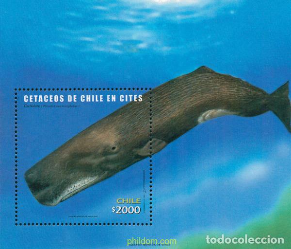 Francobolli: 122942 MNH CHILE 2002 CETACEOS DE CHILE EN CITES