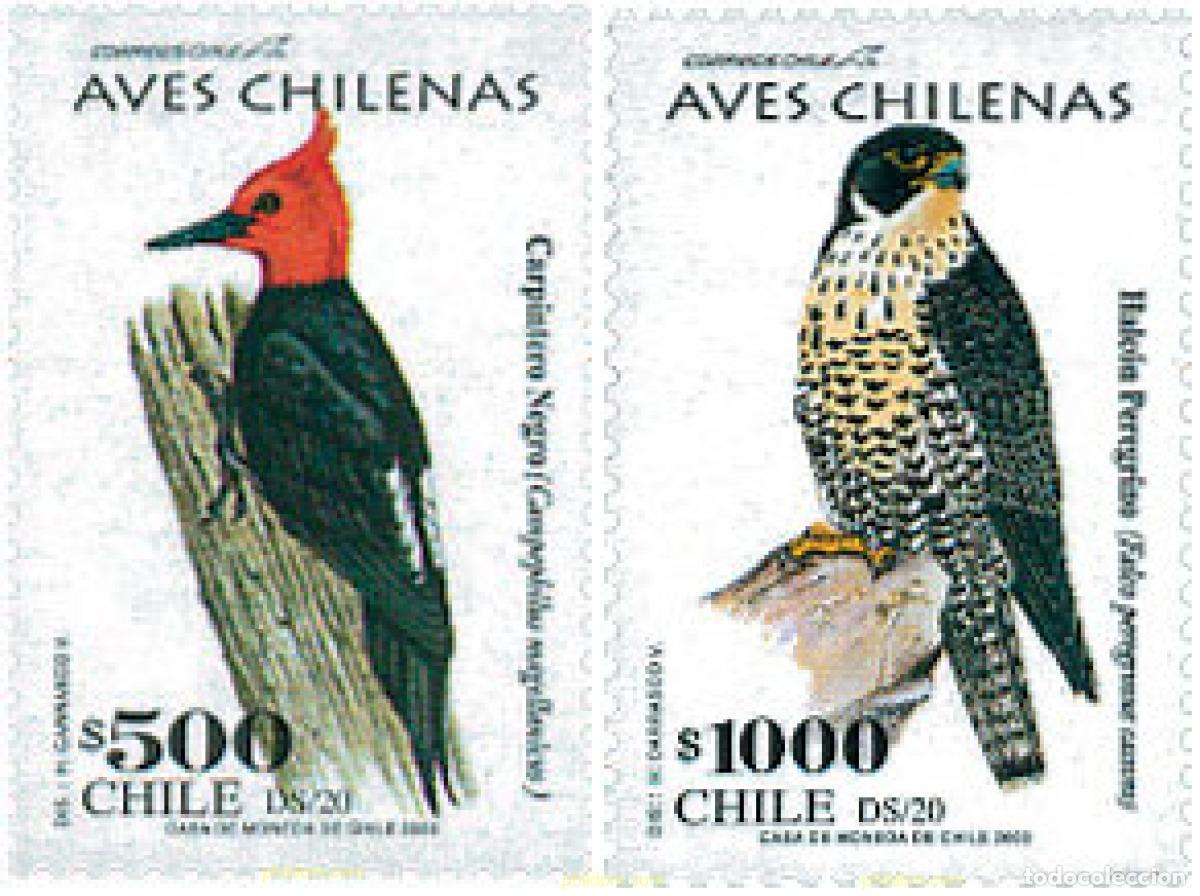 Timbres: 122947 MNH CHILE 2003 AVES