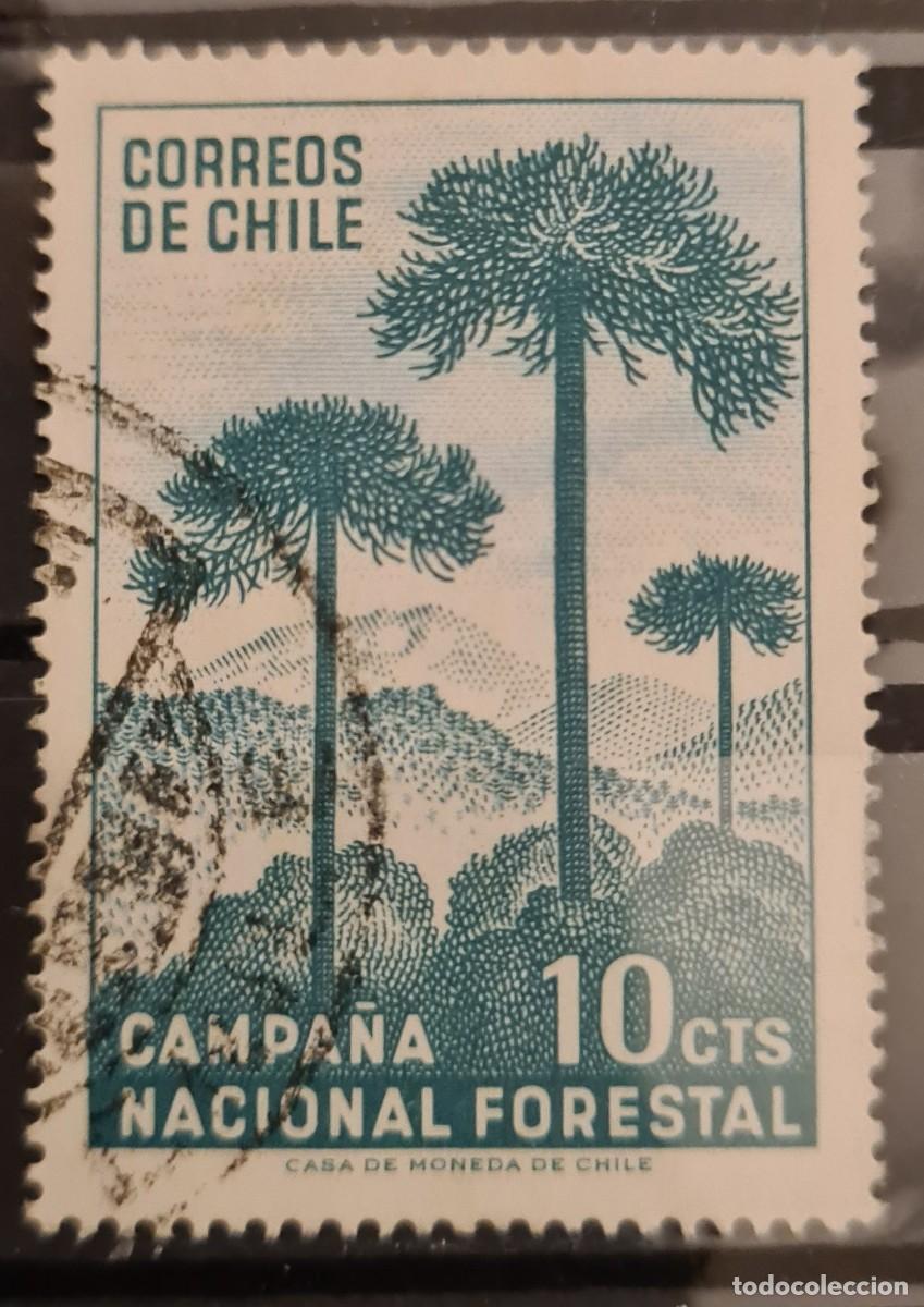 Sellos: Sello usado de Chile 1967: Campa&ntilde;a nacional pro-bosques
