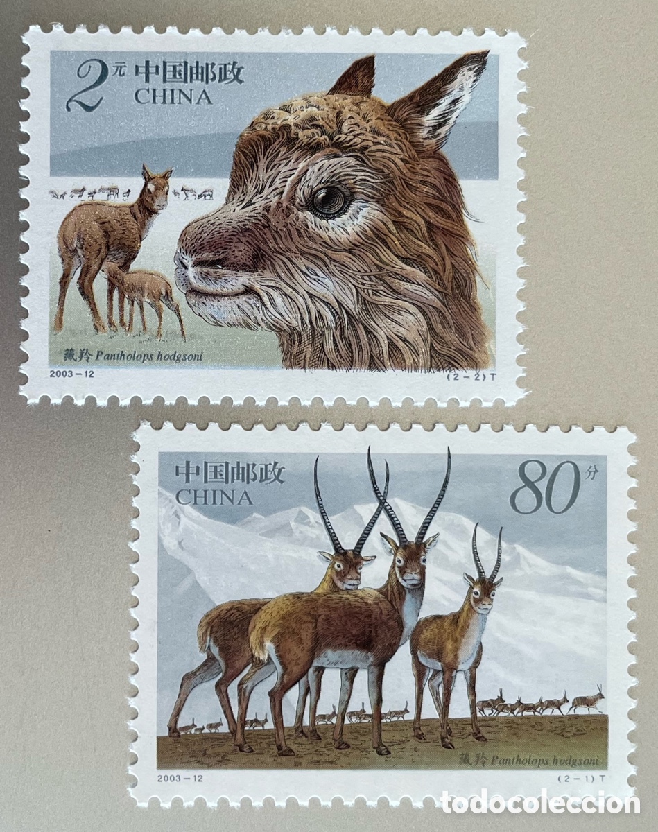 Sellos: China. Ant&iacute;lope del Himalaya. 2003 - Foto 1