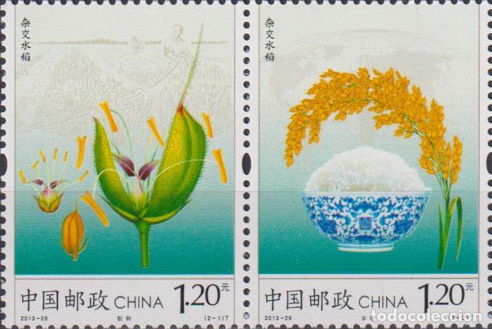 Sellos: China 2013 Alimento MNH - Foto 1
