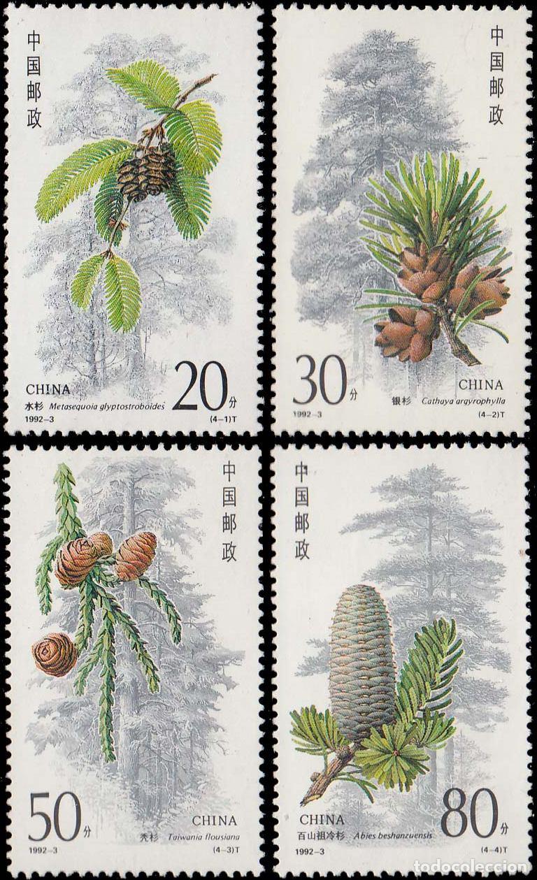 Sellos: China 1992 Conifers - Foto 1