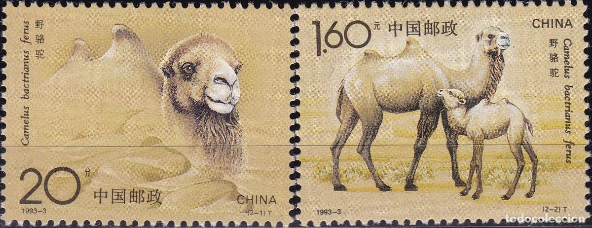 Sellos: China 1993 Bactrian Camel - Foto 1