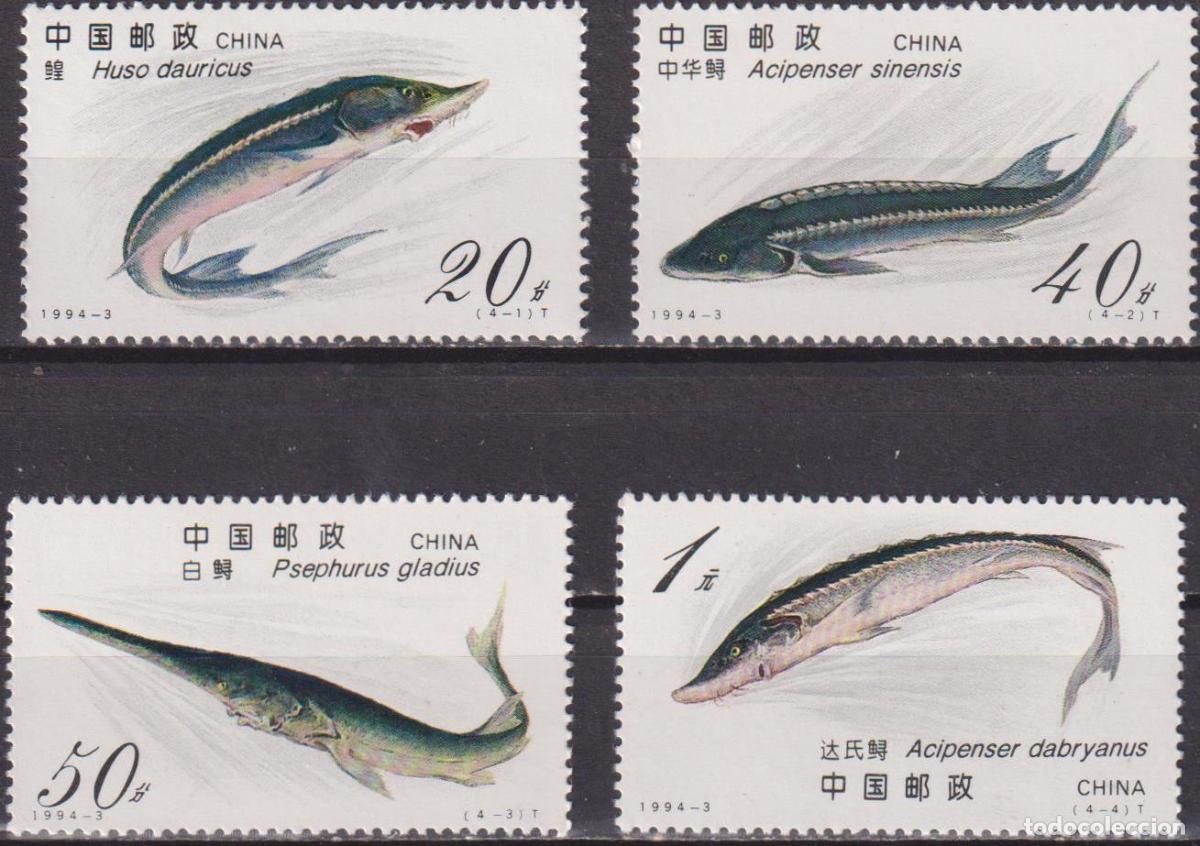 Sellos: China 1994 Esturi&oacute;n Pez MNH - Foto 1