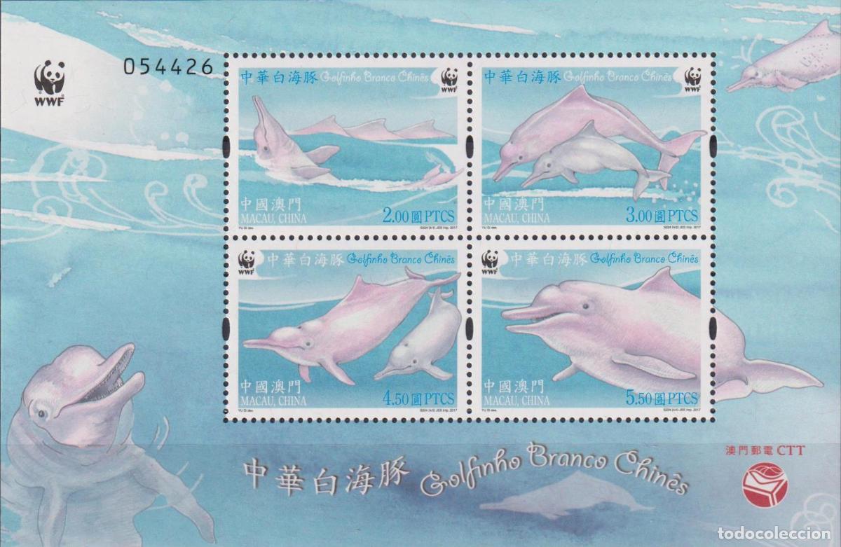 Sellos: Macao 2017 delfines MNH - Foto 1