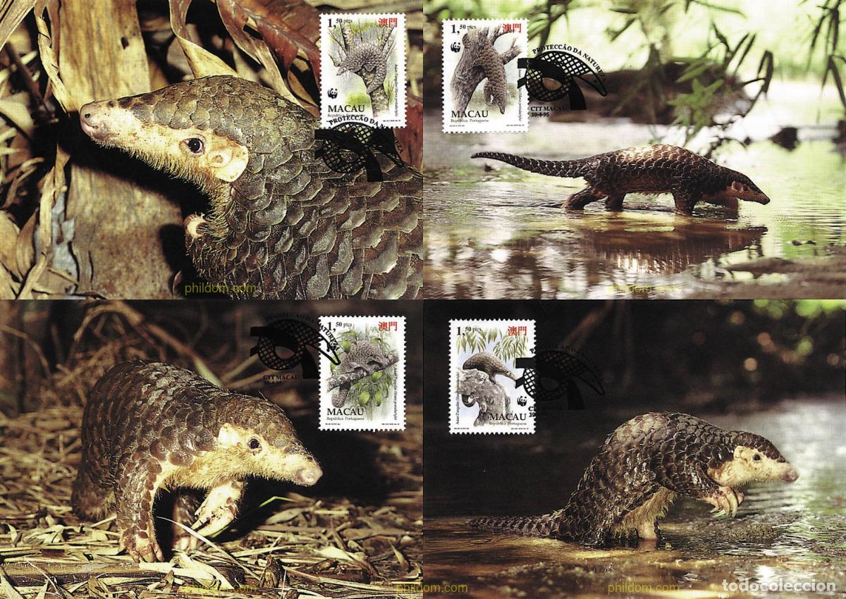 Sellos: 7409 MNH MACAO 1995 PANGOLIN CHINO